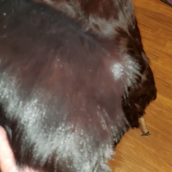 🐻🐻🐻MEN'S BLACK BEAR FUR FULL LENGTH COAT🐻🐻🐻 - Picture 11 of 16